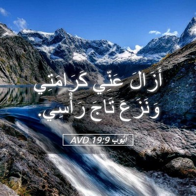 Picture 05 - أَيُّوبَ 19:9 AVD - أَزَالَ عَنِّي كَرَامَتِي - Bible Verse Picture