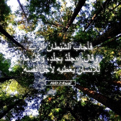 Picture 05 - أَيُّوبَ 2:4 AVD - فَأَجَابَ ٱلشَّيْطَانُ - Bible Verse Picture
