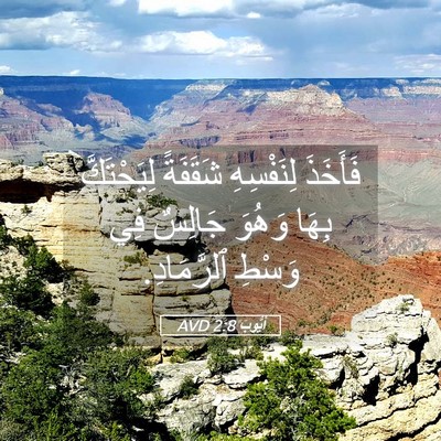 Picture 05 - أَيُّوبَ 2:8 AVD - فَأَخَذَ لِنَفْسِهِ - Bible Verse Picture