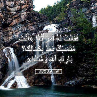 Picture 05 - أَيُّوبَ 2:9 AVD - فَقَالَتْ لَهُ - Bible Verse Picture