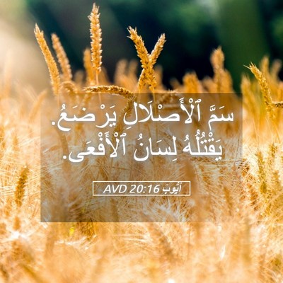 Picture 05 - أَيُّوبَ 20:16 AVD - سَمَّ ٱلْأَصْلَالِ - Bible Verse Picture