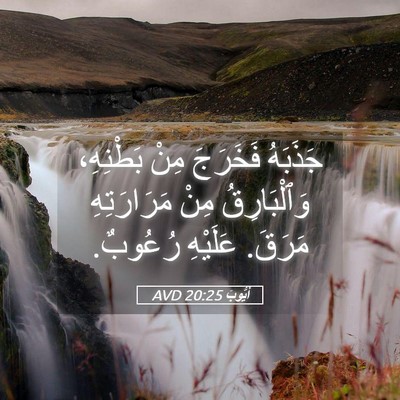 Picture 05 - أَيُّوبَ 20:25 AVD - جَذَبَهُ فَخَرَجَ مِنْ - Bible Verse Picture