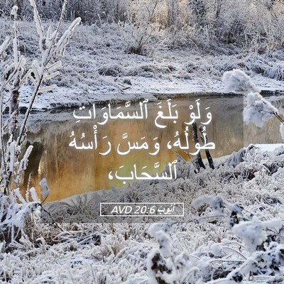 Picture 05 - أَيُّوبَ 20:6 AVD - وَلَوْ بَلَغَ - Bible Verse Picture