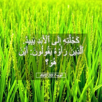 Picture 05 - أَيُّوبَ 20:7 AVD - كَجُلَّتِهِ إِلَى - Bible Verse Picture