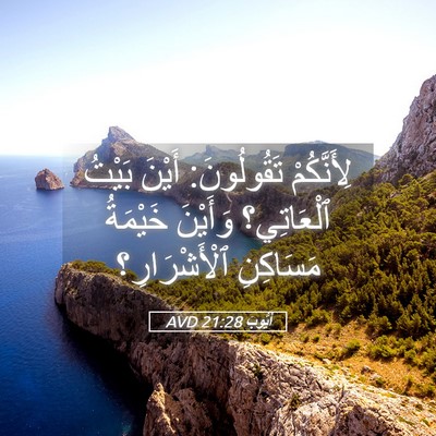 Picture 05 - أَيُّوبَ 21:28 AVD - لِأَنَّكُمْ تَقُولُونَ: - Bible Verse Picture