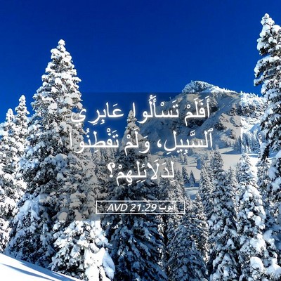 Picture 05 - أَيُّوبَ 21:29 AVD - أَفَلَمْ تَسْأَلُوا - Bible Verse Picture