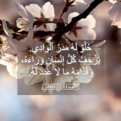 Picture 05 - أَيُّوبَ 21:33 AVD - حُلْوٌ لَهُ مَدَرُ - Bible Verse Picture