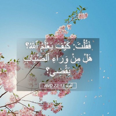 Picture 05 - أَيُّوبَ 22:13 AVD - فَقُلْتَ: كَيْفَ يَعْلَمُ - Bible Verse Picture