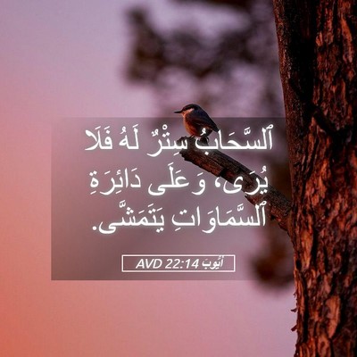 Picture 05 - أَيُّوبَ 22:14 AVD - ٱلسَّحَابُ سِتْرٌ لَهُ - Bible Verse Picture