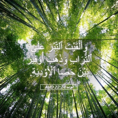 Picture 05 - أَيُّوبَ 22:24 AVD - وَأَلْقَيْتَ ٱلتِّبْرَ - Bible Verse Picture