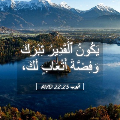 Picture 05 - أَيُّوبَ 22:25 AVD - يَكُونُ ٱلْقَدِيرُ - Bible Verse Picture