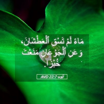 Picture 05 - أَيُّوبَ 22:7 AVD - مَاءً لَمْ تَسْقِ - Bible Verse Picture