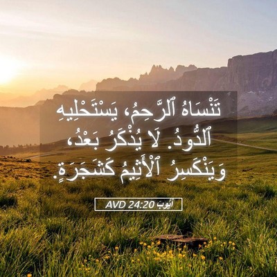 Picture 05 - أَيُّوبَ 24:20 AVD - تَنْسَاهُ ٱلرَّحِمُ، - Bible Verse Picture