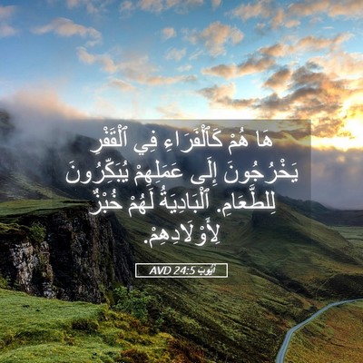 Picture 05 - أَيُّوبَ 24:5 AVD - هَا هُمْ كَٱلْفَرَاءِ فِي - Bible Verse Picture