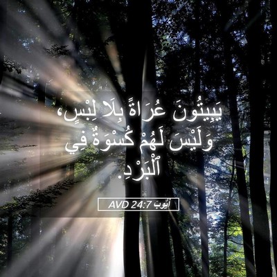 Picture 05 - أَيُّوبَ 24:7 AVD - يَبِيتُونَ عُرَاةً بِلَا - Bible Verse Picture