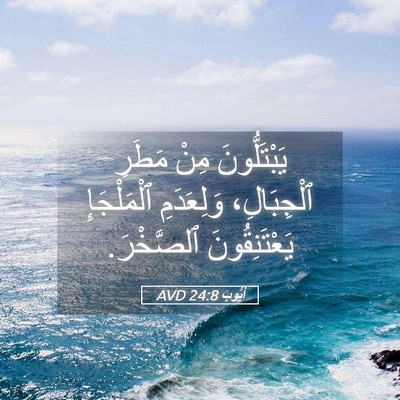Picture 05 - أَيُّوبَ 24:8 AVD - يَبْتَلُّونَ مِنْ مَطَرِ - Bible Verse Picture
