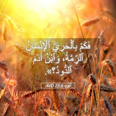 Picture 05 - أَيُّوبَ 25:6 AVD - فَكَمْ بِٱلْحَرِيِّ - Bible Verse Picture