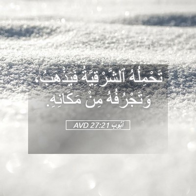 Picture 05 - أَيُّوبَ 27:21 AVD - تَحْمِلُهُ ٱلشَّرْقِيَّةُ - Bible Verse Picture