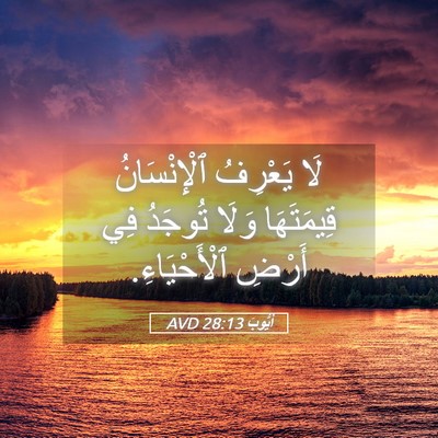 Picture 05 - أَيُّوبَ 28:13 AVD - لَا يَعْرِفُ ٱلْإِنْسَانُ - Bible Verse Picture