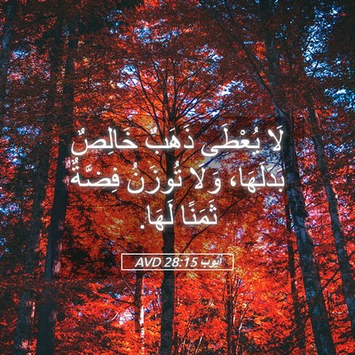 Picture 05 - أَيُّوبَ 28:15 AVD - لَا يُعْطَى ذَهَبٌ خَالِصٌ - Bible Verse Picture