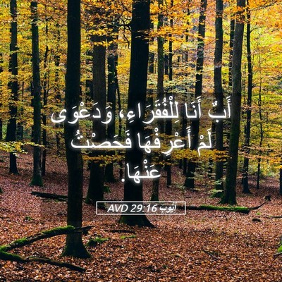 Picture 05 - أَيُّوبَ 29:16 AVD - أَبٌ أَنَا لِلْفُقَرَاءِ، - Bible Verse Picture
