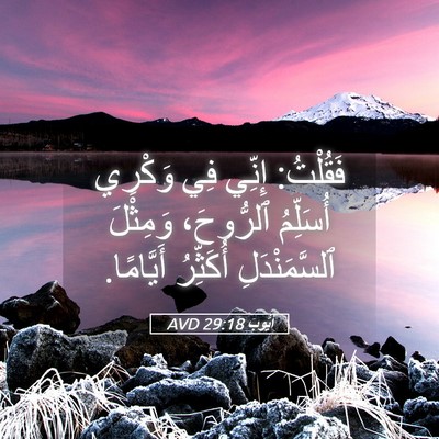 Picture 05 - أَيُّوبَ 29:18 AVD - فَقُلْتُ: إِنِّي فِي - Bible Verse Picture
