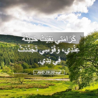 Picture 05 - أَيُّوبَ 29:20 AVD - كَرَامَتِي بَقِيَتْ - Bible Verse Picture