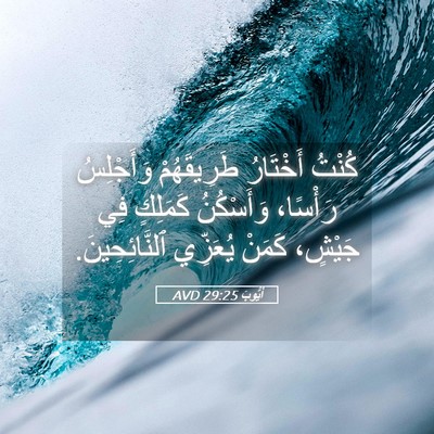 Picture 05 - أَيُّوبَ 29:25 AVD - كُنْتُ أَخْتَارُ - Bible Verse Picture