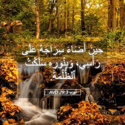 Picture 05 - أَيُّوبَ 29:3 AVD - حِينَ أَضَاءَ سِرَاجَهُ - Bible Verse Picture