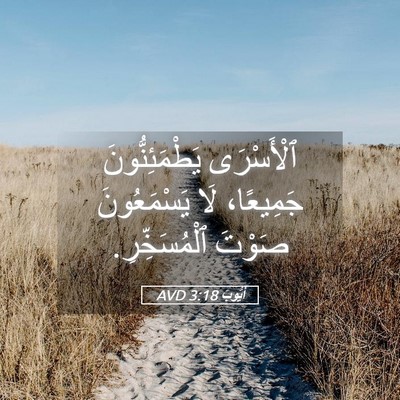 Picture 05 - أَيُّوبَ 3:18 AVD - ٱلْأَسْرَى يَطْمَئِنُّونَ - Bible Verse Picture
