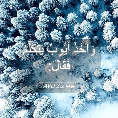 Picture 05 - أَيُّوبَ 3:2 AVD - وَأَخَذَ أَيُّوبُ - Bible Verse Picture