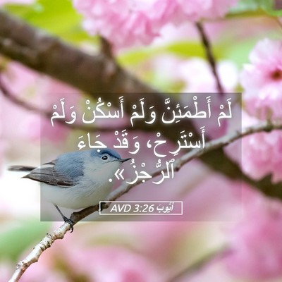 Picture 05 - أَيُّوبَ 3:26 AVD - لَمْ أَطْمَئِنَّ وَلَمْ - Bible Verse Picture