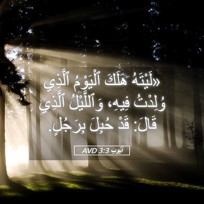 Picture 05 - أَيُّوبَ 3:3 AVD - «لَيْتَهُ هَلَكَ - Bible Verse Picture