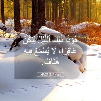 Picture 05 - أَيُّوبَ 3:7 AVD - هُوَذَا ذَلِكَ ٱللَّيْلُ - Bible Verse Picture