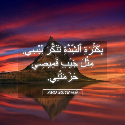 Picture 05 - أَيُّوبَ 30:18 AVD - بِكَثْرَةِ ٱلشِّدَّةِ - Bible Verse Picture