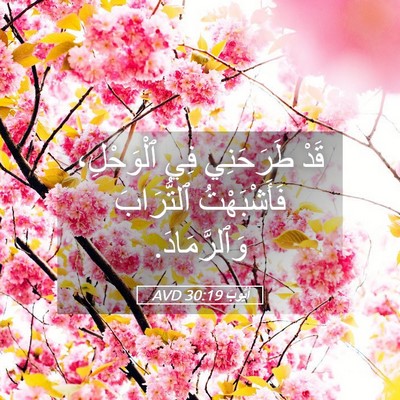 Picture 05 - أَيُّوبَ 30:19 AVD - قَدْ طَرَحَنِي فِي - Bible Verse Picture