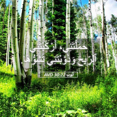 Picture 05 - أَيُّوبَ 30:22 AVD - حَمَلْتَنِي، - Bible Verse Picture