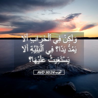 Picture 05 - أَيُّوبَ 30:24 AVD - وَلَكِنْ فِي ٱلْخَرَابِ - Bible Verse Picture