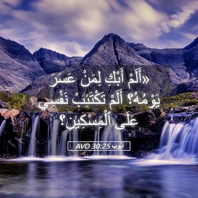 Picture 05 - أَيُّوبَ 30:25 AVD - «أَلَمْ أَبْكِ لِمَنْ - Bible Verse Picture