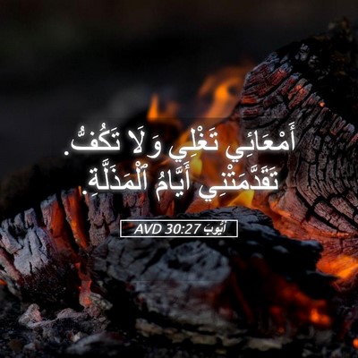 Picture 05 - أَيُّوبَ 30:27 AVD - أَمْعَائِي تَغْلِي وَلَا - Bible Verse Picture