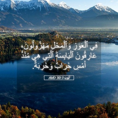 Picture 05 - أَيُّوبَ 30:3 AVD - فِي ٱلْعَوَزِ وَٱلْمَحْلِ - Bible Verse Picture