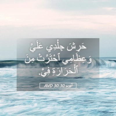 Picture 05 - أَيُّوبَ 30:30 AVD - حَرِشَ جِلْدِي عَلَيَّ - Bible Verse Picture