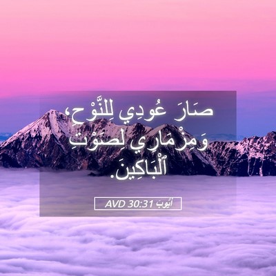 Picture 05 - أَيُّوبَ 30:31 AVD - صَارَ عُودِي لِلنَّوْحِ، - Bible Verse Picture