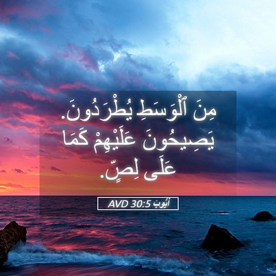 Picture 05 - أَيُّوبَ 30:5 AVD - مِنَ ٱلْوَسَطِ - Bible Verse Picture