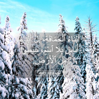 Picture 05 - أَيُّوبَ 30:8 AVD - أَبْنَاءُ ٱلْحَمَاقَةِ، - Bible Verse Picture