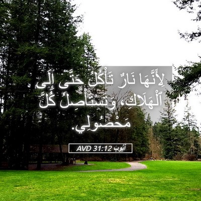 Picture 05 - أَيُّوبَ 31:12 AVD - لِأَنَّهَا نَارٌ تَأْكُلُ - Bible Verse Picture