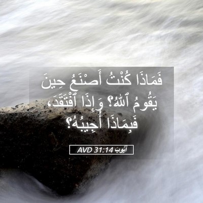 Picture 05 - أَيُّوبَ 31:14 AVD - فَمَاذَا كُنْتُ أَصْنَعُ - Bible Verse Picture
