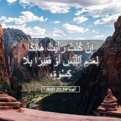 Picture 05 - أَيُّوبَ 31:19 AVD - إِنْ كُنْتُ رَأَيْتُ - Bible Verse Picture
