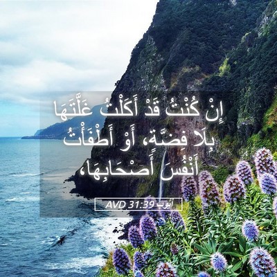 Picture 05 - أَيُّوبَ 31:39 AVD - إِنْ كُنْتُ قَدْ أَكَلْتُ - Bible Verse Picture