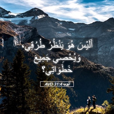 Picture 05 - أَيُّوبَ 31:4 AVD - أَلَيْسَ هُوَ يَنْظُرُ - Bible Verse Picture